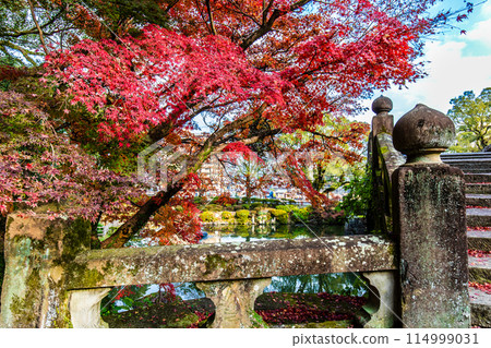 Autumn leaves at Isahaya Park (Meganebashi Bridge) [Isahaya City, Nagasaki Prefecture] 114999031