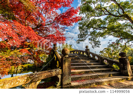 Autumn leaves at Isahaya Park (Meganebashi Bridge) [Isahaya City, Nagasaki Prefecture] 114999056