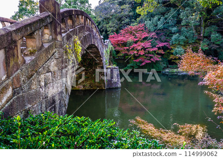 諫早公園（女橋）的紅葉【長崎縣諫早市】 114999062