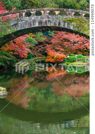 諫早公園（女橋）的紅葉【長崎縣諫早市】 114999078