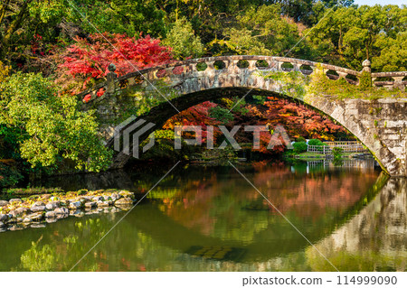 Autumn leaves at Isahaya Park (Meganebashi Bridge) [Isahaya City, Nagasaki Prefecture] 114999090