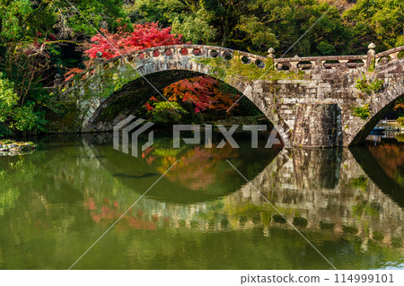 諫早公園(女橋)的紅葉【長崎縣諫早市】 諫早公園(女橋)的紅葉【長崎縣諫早市】 114999101
