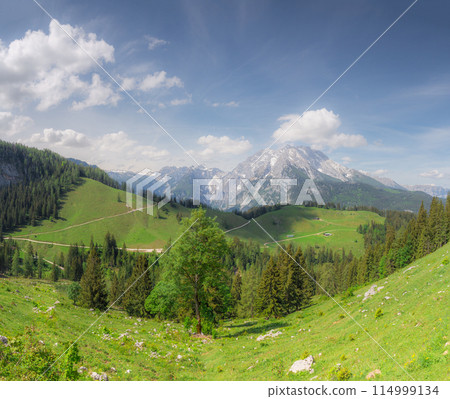 Mountain valley with tracks near Jenner mount in Berchtesgaden National Park 114999134