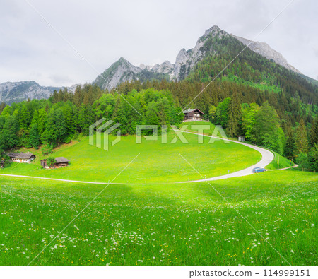 View of meadow near Jenner mount in Berchtesgaden National Park, Alps Germany 114999151