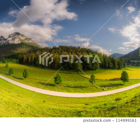 Meadow with road and bench during sunset in Berchtesgaden National Park Meadow with road and bench during sunset in Berchtesgaden National Park 114999161