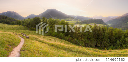 Meadow with road and bench during sunset in Berchtesgaden National Park Meadow with road and bench during sunset in Berchtesgaden National Park 114999162