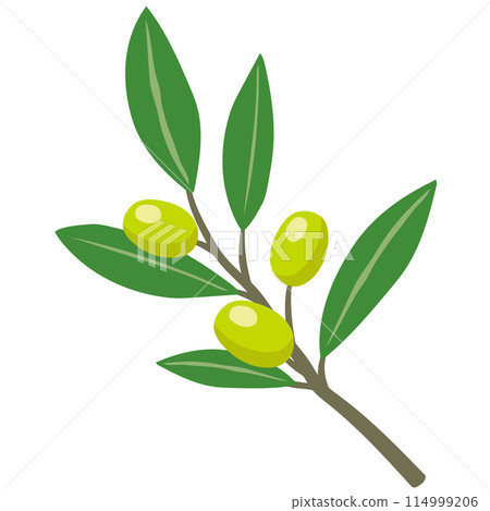 Olive fruits Shodoshima Kagawa Prefecture Tourist attraction Olive fruits Shodoshima Kagawa Prefecture Tourist attraction 114999206