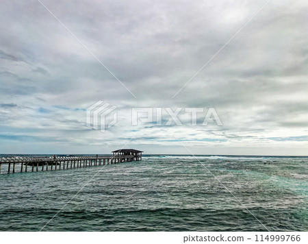 Surfing Capital 114999766