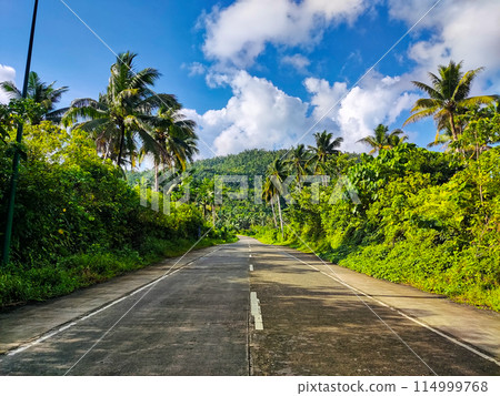 Two-lane Provincial Road 114999768