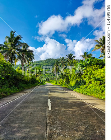 Two-lane Provincial Road 114999769