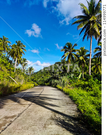 Two-lane Provincial Road 114999771