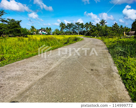 Two-lane Provincial Road 114999772