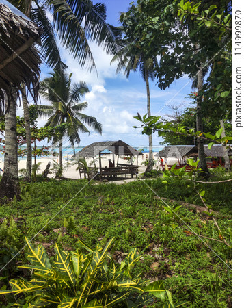Siargao Beach Siargao Beach 114999870