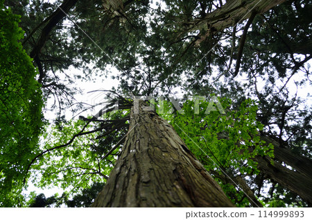 Shimowatari Kumano Shrine, a power spot in Minatomachi, Aizuwakamatsu City, Fukushima Prefecture 114999893