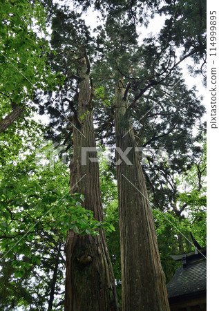 福島縣會津若松市港町的發電廠下和熊野神社 114999895