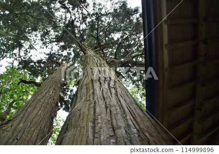 福島縣會津若松市港町的發電廠下和熊野神社 114999896