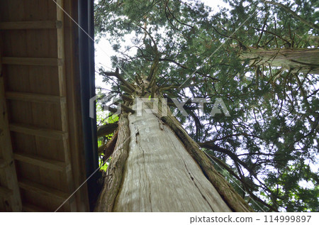 福島縣會津若松市港町的發電廠下和熊野神社 114999897