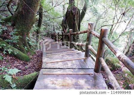 Mountain hike Mountain hike 114999949