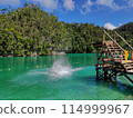 Lagoon Diving Board 114999967