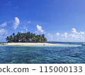 Tropical Island 115000133