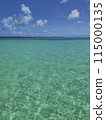 Translucent Turquoise Waters 115000135