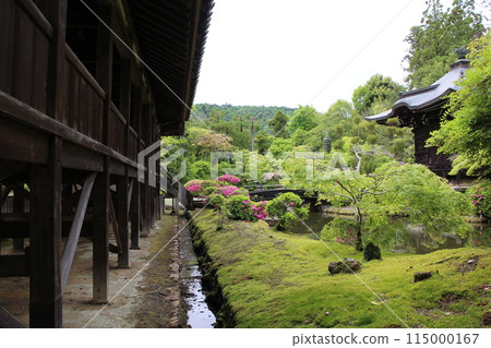 Kyoto Seiryoji Temple Bentendo and Japanese Garden 115000167