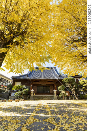 紅葉季節的興修寺【長崎縣長崎市】 115000201