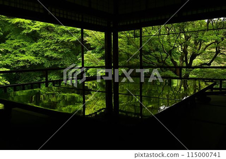 Blue autumn leaves of Shoko-in Blue autumn leaves of Shoko-in 115000741