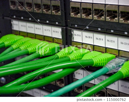 Ethernet cables connected to enumerated labled patch panel 115000762