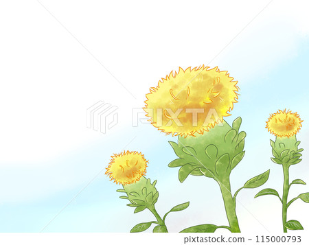 紅花和藍天 紅花和藍天 115000793