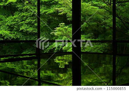 Shoko-in藍色秋葉 115000855