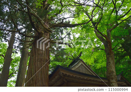 Shimowatari Kumano Shrine, a power spot in Minatomachi, Aizuwakamatsu City, Fukushima Prefecture Shimowatari Kumano Shrine, a power spot in Minatomachi, Aizuwakamatsu City, Fukushima Prefecture 115000994