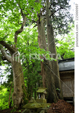 Shimowatari Kumano Shrine, a power spot in Minatomachi, Aizuwakamatsu City, Fukushima Prefecture Shimowatari Kumano Shrine, a power spot in Minatomachi, Aizuwakamatsu City, Fukushima Prefecture 115000997