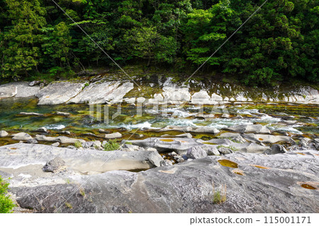 出井坑窪（高知縣宿毛市） 115001171