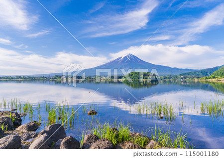 (Yamanashi Prefecture) Mount Fuji as seen from the lakeside of Kawaguchiko Oishi Park (Yamanashi Prefecture) Mount Fuji as seen from the lakeside of Kawaguchiko Oishi Park 115001180