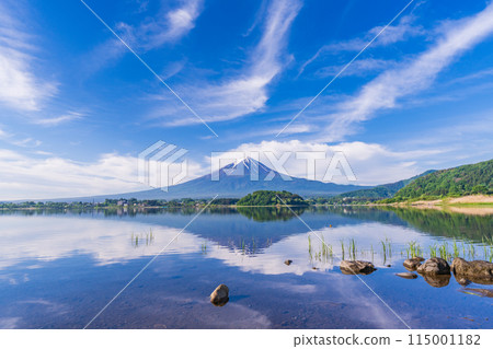 (Yamanashi Prefecture) Mount Fuji as seen from the lakeside of Kawaguchiko Oishi Park (Yamanashi Prefecture) Mount Fuji as seen from the lakeside of Kawaguchiko Oishi Park 115001182