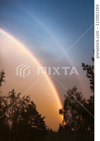 Double rainbow over forest 115001569