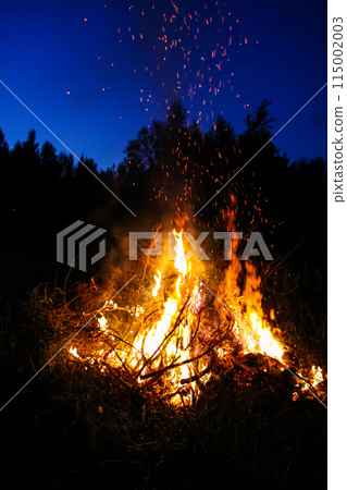 Bonfire outdoors at night. Bonfire outdoors at night. 115002003