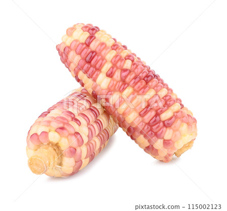 Waxy corn isolated on white background Waxy corn isolated on white background 115002123