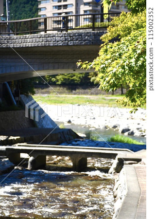The charming streets of Gero Onsen 115002352