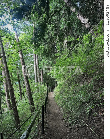 日本原汁原味的風景!長野下栗之裡 日本原汁原味的風景!長野下栗之裡 115002485