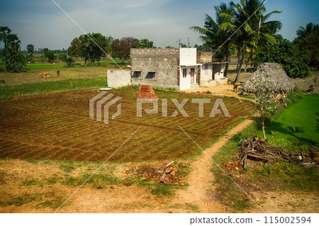 Indian agricultural areas with houses of ryots Indian agricultural areas with houses of ryots 115002594