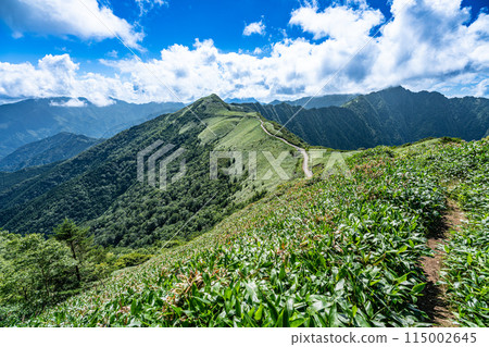 從高知縣阿川郡東黑森伊野町山間小徑看到的夏季UFO 1號線 115002645