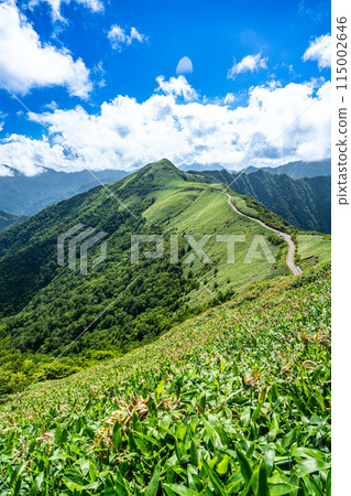 從高知縣安川郡東黑森伊野町山間小徑看到的夏季UFO 2號線 115002646