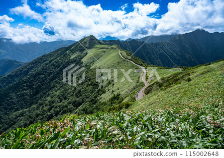 Summer UFO Line 4 seen from the hiking trail to Higashikuromori, Ino Town, Agawa District, Kochi Prefecture 115002648