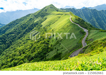 從高知縣安川郡東黑森伊野町山間小徑看到的夏季UFO 14號線 115002661