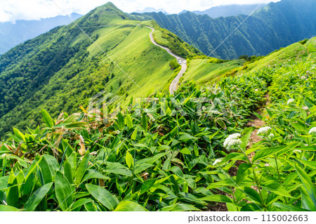 從高知縣阿川郡東黑森伊野町山間小徑看到的夏季UFO 16號線 115002663
