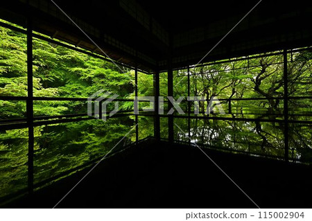 Shoko-in藍色秋葉 Shoko-in藍色秋葉 115002904