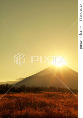 Dawn of Japan Diamond Fuji 115003032