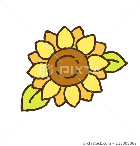 Sunflower flower illustration 115003062